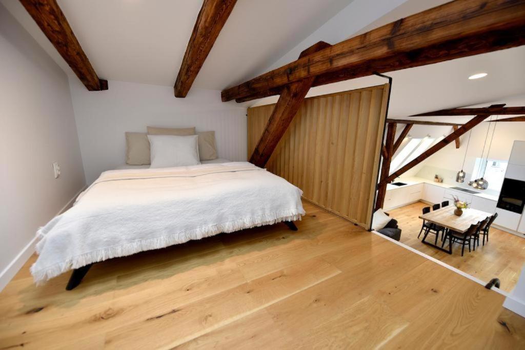 Apartman 1901 Trenčín Zewnętrze zdjęcie